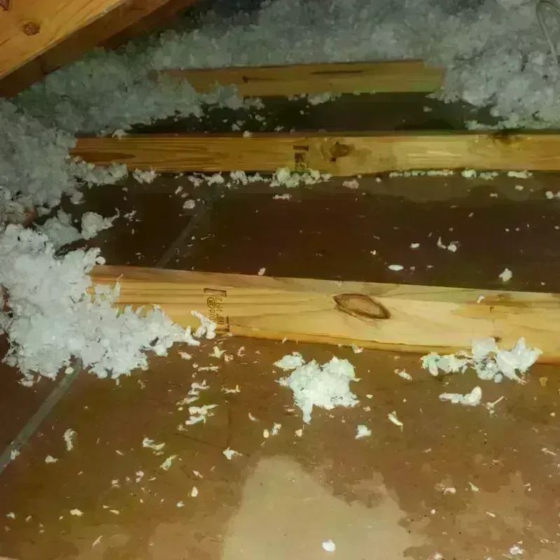 Attic Water Damage in West Wyoming, PA