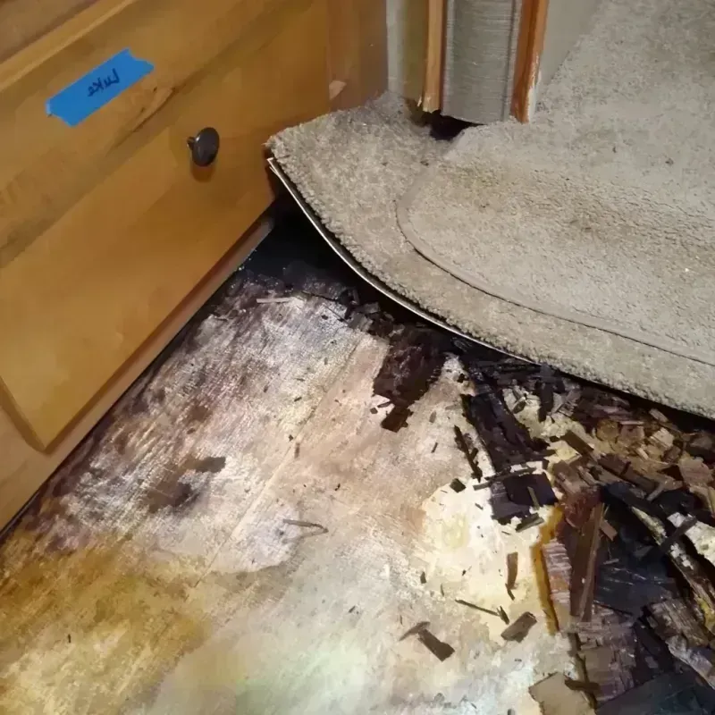 Wood Floor Water Damage in West Wyoming, PA